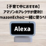 【子育て中におすすめ】アマゾンのアレクサが便利!AmazonEchoと一緒に使うべし!