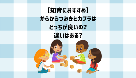 【知育におすすめ】からからつみきとカプラはどっちが良いの？違いはある？